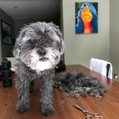 I Wish (Tom Misch Cover)