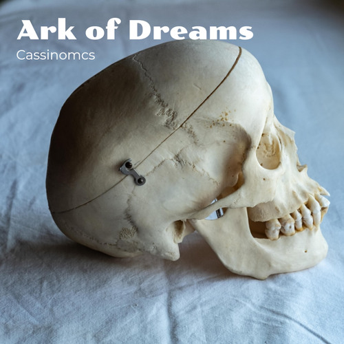 Ark of Dreams