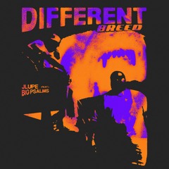 Jlupe - Different Breed (feat. Big Psalms)