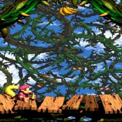 とげとげタルめいろ"スーパードンキーコング 3 remake stickerbush symphony Donkey Kong Country 2