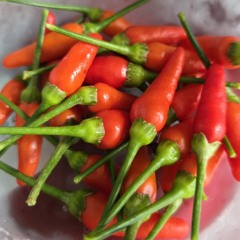 FIRST HARVEST