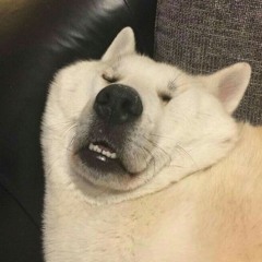 어제는 당신 꿈을 꿨어요