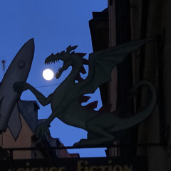 moon and dragon
