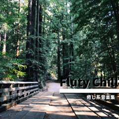 A Wellness Atmosphere