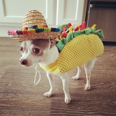 Mikemix // Taco Tuesday