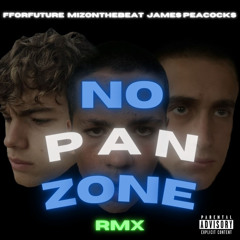 James Peacocks X FForFuture X MizOnTheBeat - No Panzone RMX