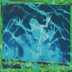 Lily Paddle Mix