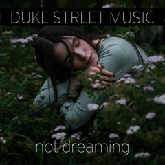 Not Dreaming (feat. Isa Morgan)