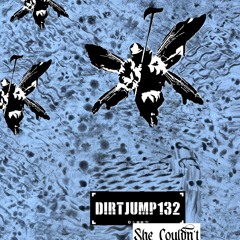 JUCHE PARK - She Couldn't (dirtjump132 Mashup)