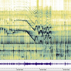 State Forest Pond Ring