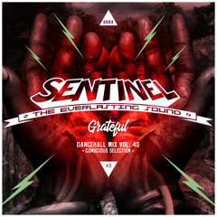 Sentinel Sound - Dancehall Mix Vol 40 - Conscious Selection - Grateful [2022]