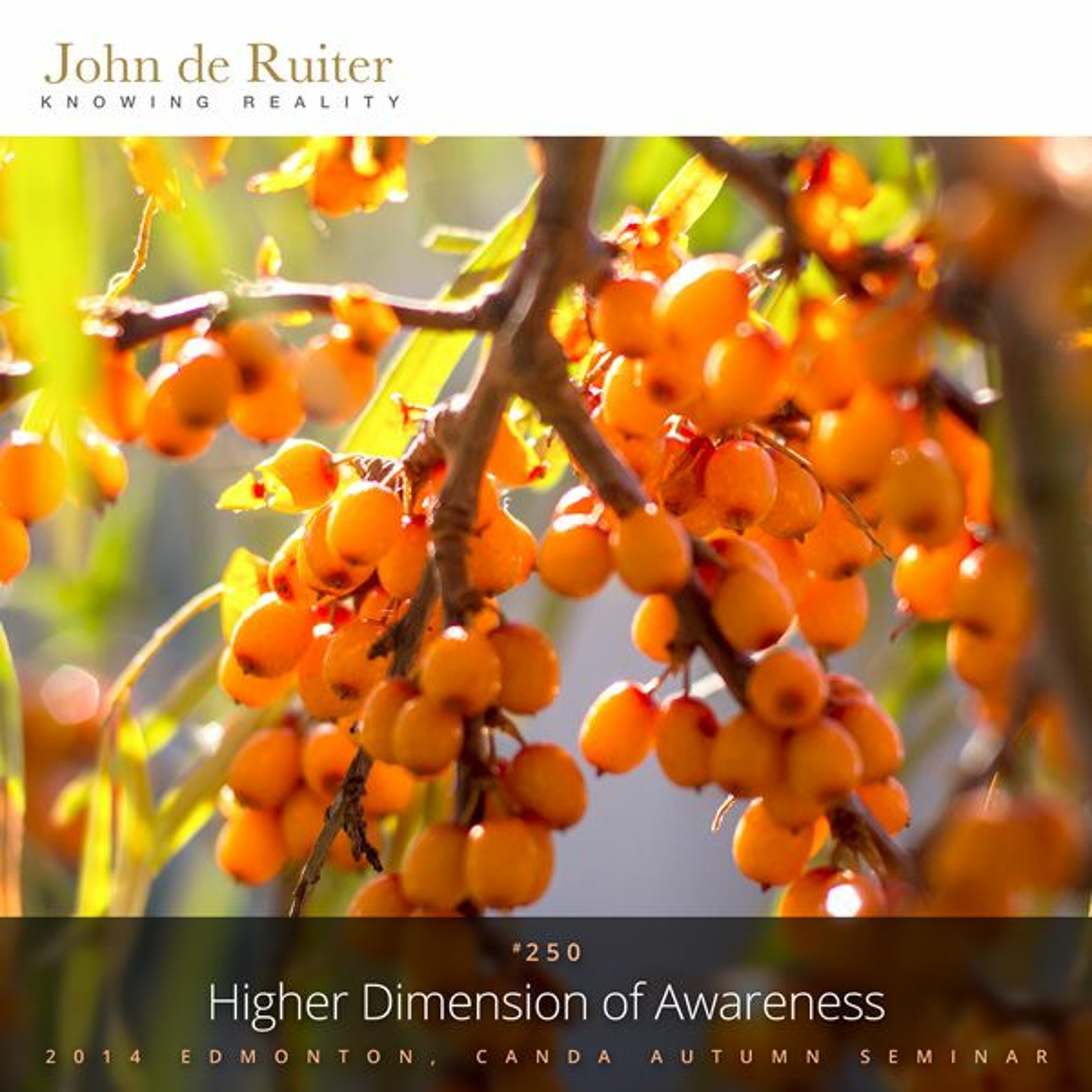 250 - Higher Dimension of Awareness - 1 of 2 episode artwork