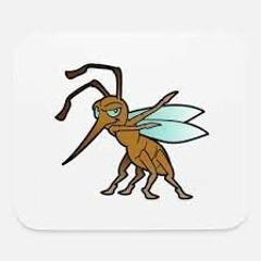 POV: you have a mosquito in your room