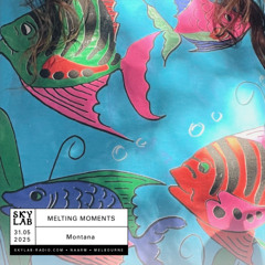 Melting Moments ep 17 - Skylab Radio