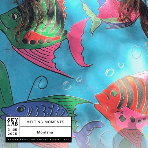 Melting Moments ep 17 - Skylab Radio