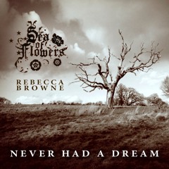 Never Had A Dream (instrumental)
