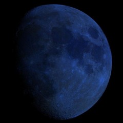 Sadra Imanpour - Without You