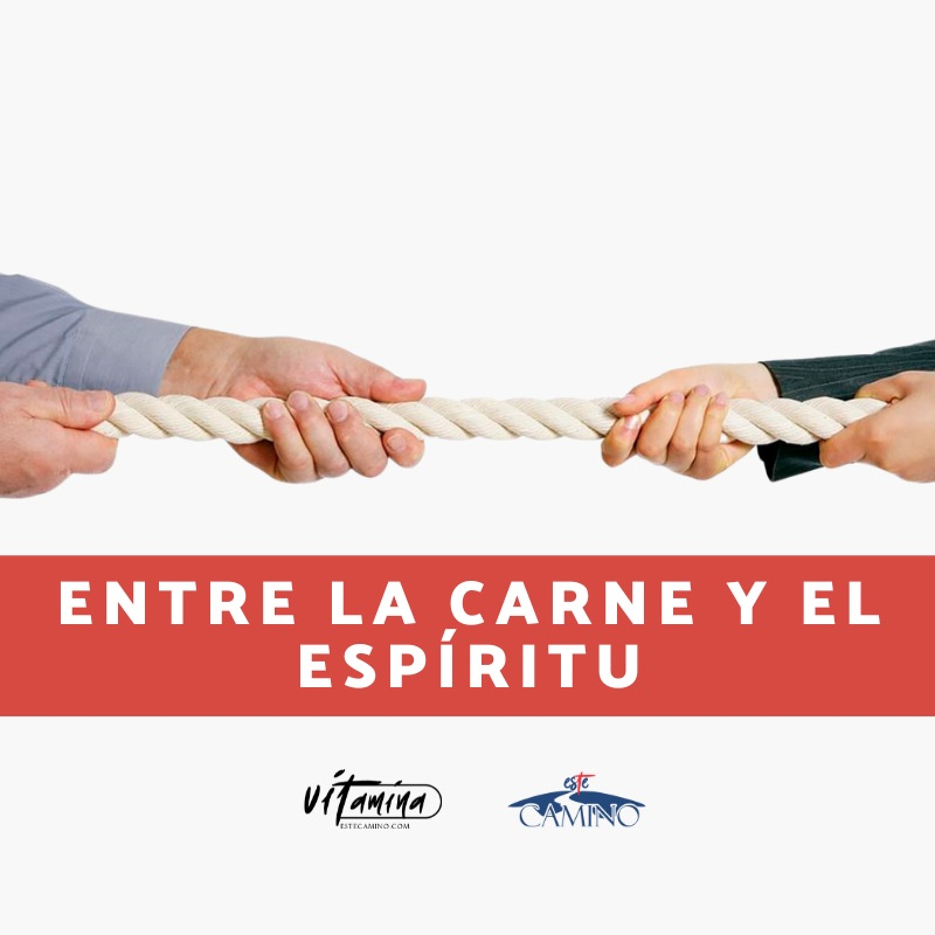 Entre la carne y el Espíritu, Bruno episode artwork