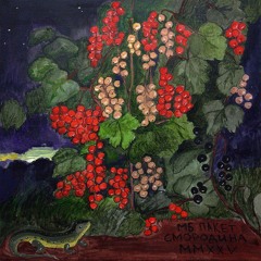 МБ Пакет — Казнь русофоба