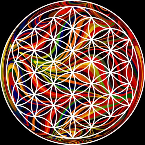 Coin Collector/Lotus Dreamers