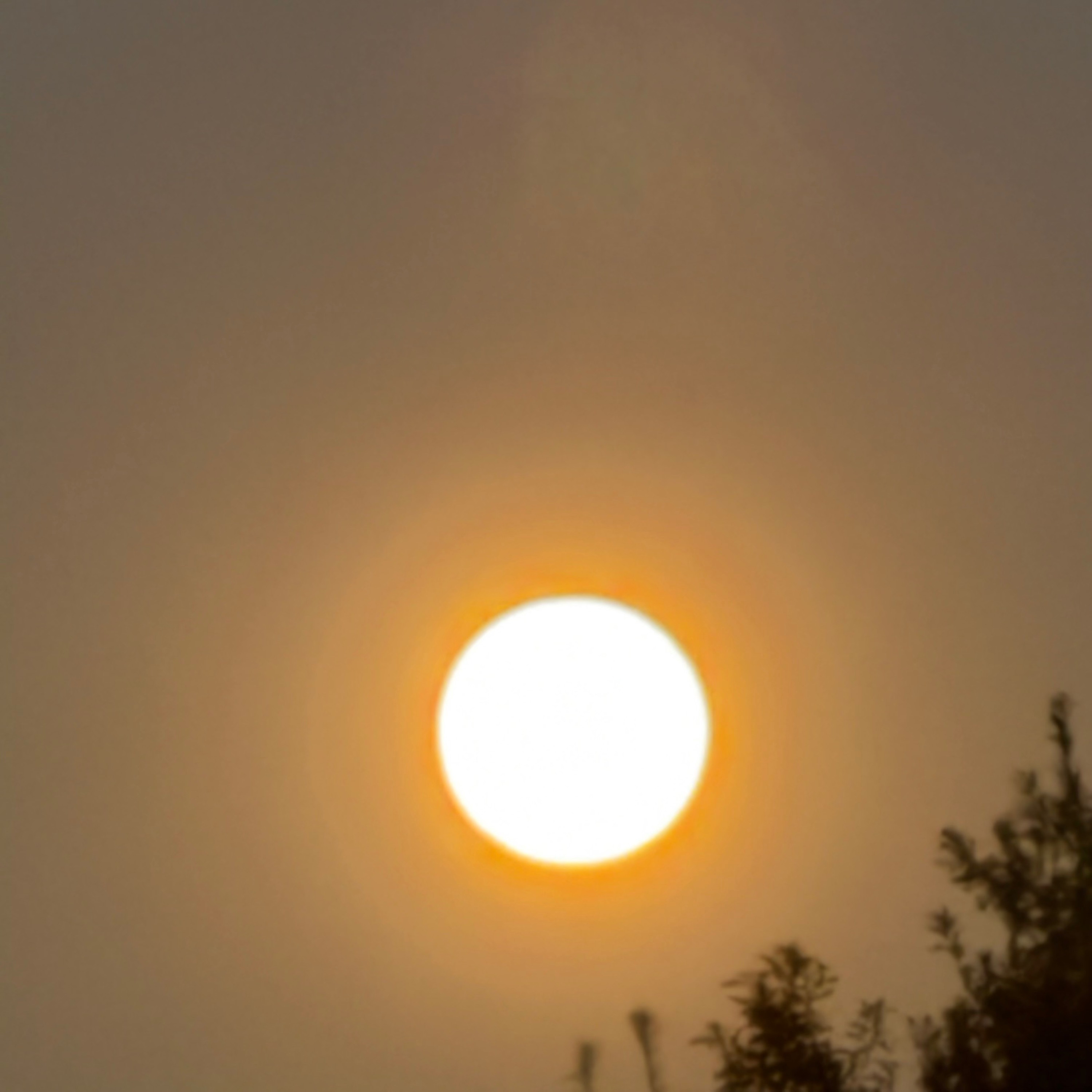 i was there. and i was listening.