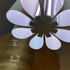 Niko at Ton 27 Iul 25