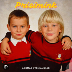 Adomas Vyšniauskas - Prisimink (Official Video).mp3