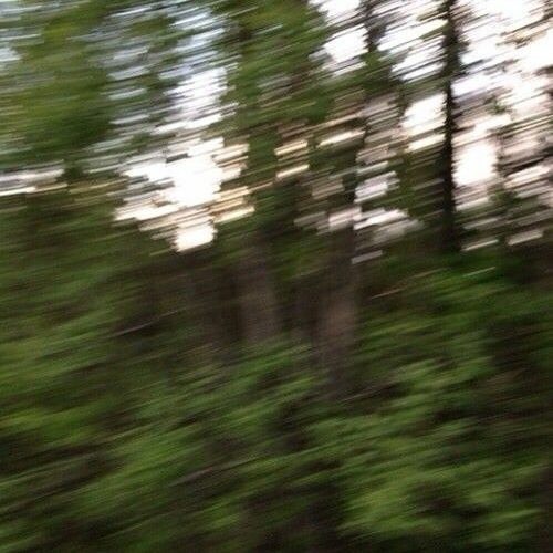 wind