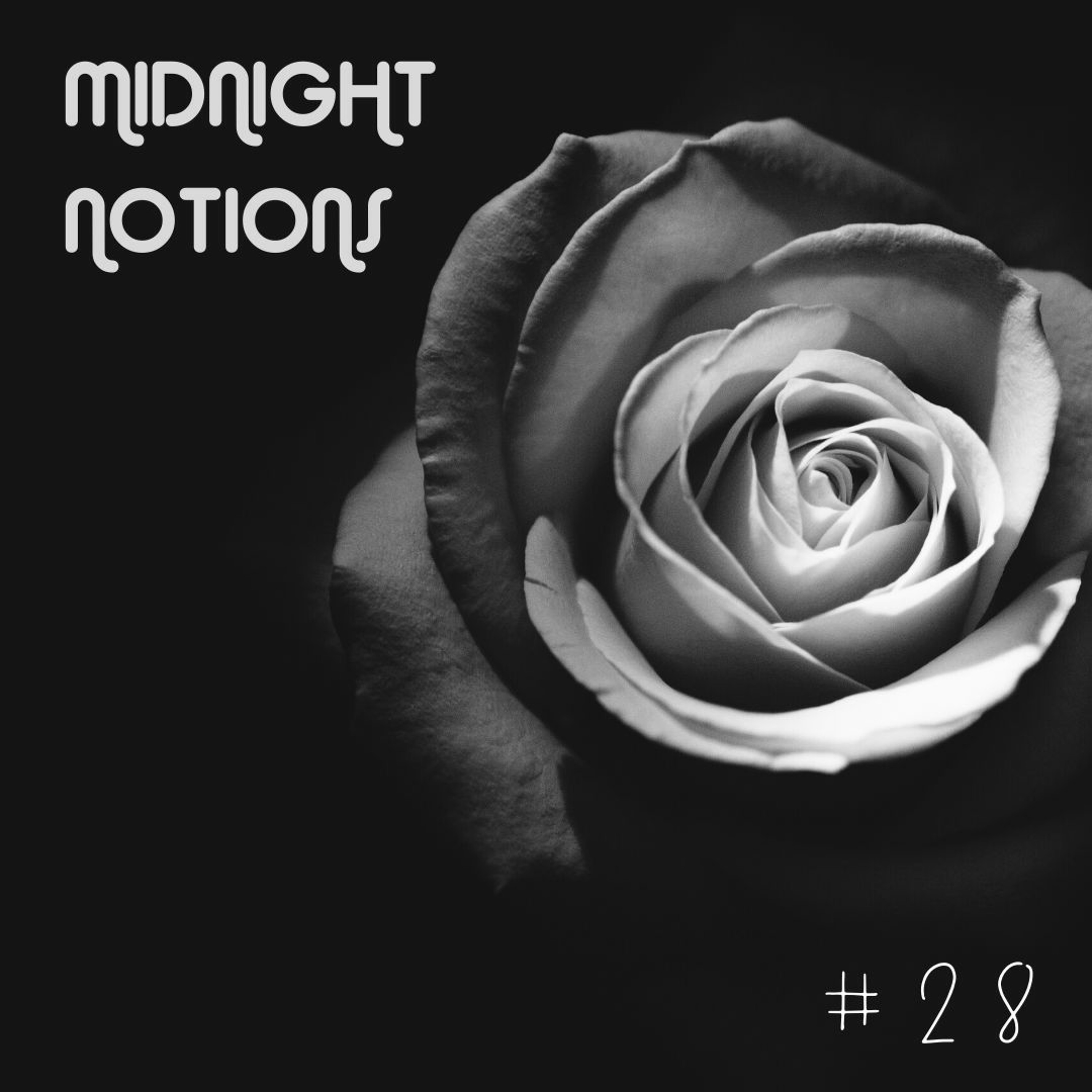 Midnight Notions
