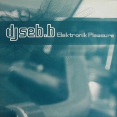 elektronik pleasure (original)