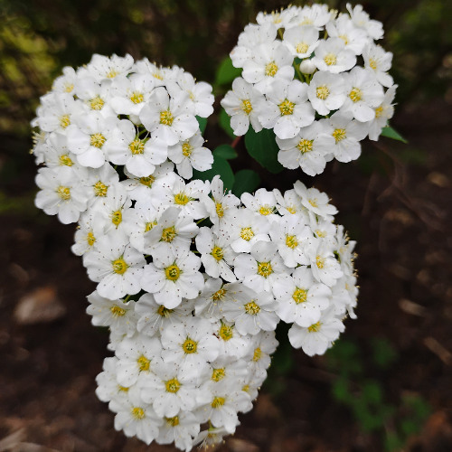 Keeping Hope Alive (a devotional)