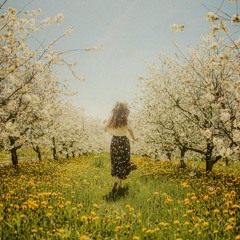 Dandelion Meadow