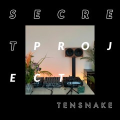 Secret Project Stream