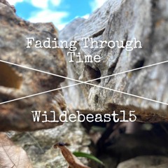 Fading Through Time