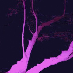 purple colored noise storm