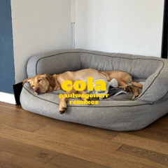 cola_house (paulwegenerr remix)