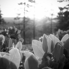 Techno from Chrisliebing/adambeyer/benklock