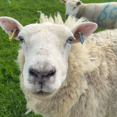 BAaaAAaaAaaAah