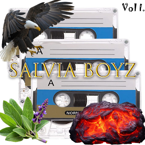 Stream Salvia Boyz | Listen to Vol 1. playlist online for free on ...