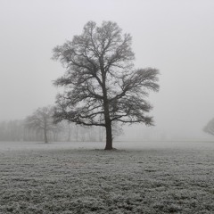 Piece In G Dorian - Winter