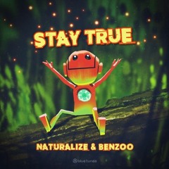 Naturalize & Benzoo - Just Don't (Original Mix)*** FREEDOWNLOAD***