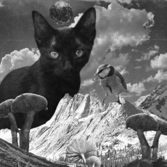 Talobeez - Vinyl Set (012025, Barcelona)