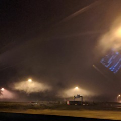 Light In The Basement