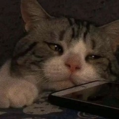 Noises 2