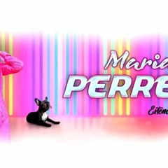 PERREITO - MARIAH EXTENDED SPUNKY 2020