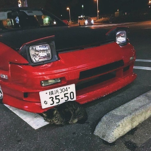 Persona