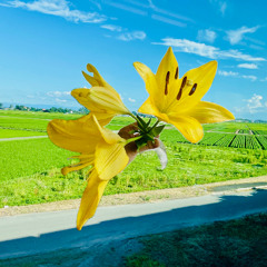 Jump into a new world