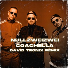 NULLZWEIZWEI - Coachella (David Tronix Remix)