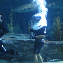 NAKED TRUTH OF STRESS EP15