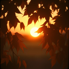 Hicran ve Ümit - Akustik